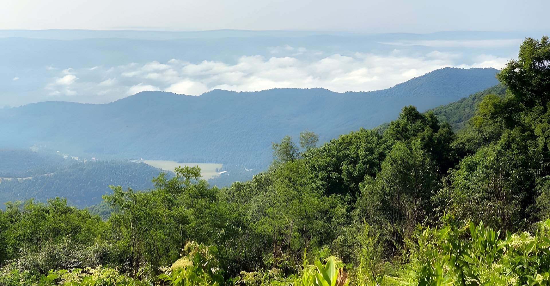 Blue Ridge mountains of North Carolina rising through morning haze